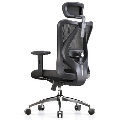 SIHOO Ergonomic Office Chair Computer Chair Desk Chair, Adjustable Headrests Chair Backrest and Armrest's Mesh Chair (Black) | Adjustable Headrests