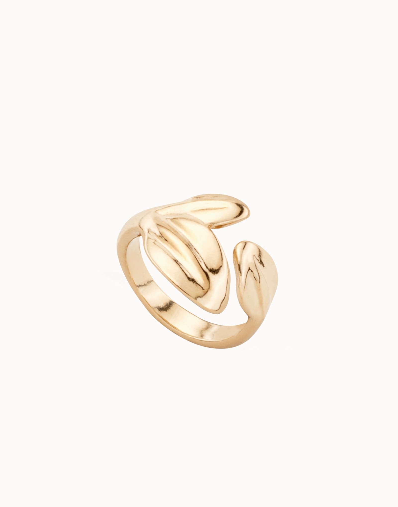 Minimalist smooth ring